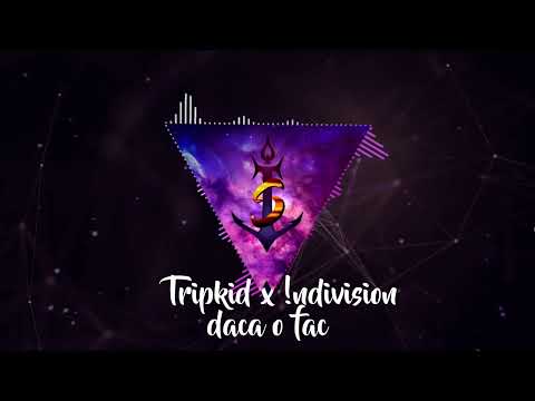 Tripkid x ndivision - daca o fac