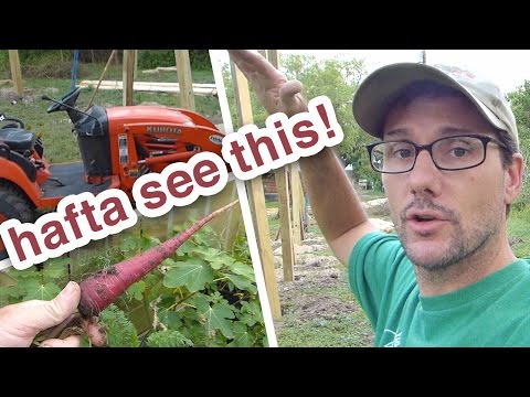 I couldn't have done this without my friends