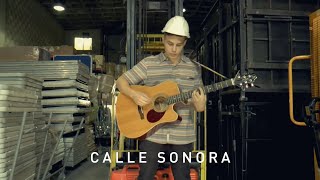 Calle Sonora | Noise Nebula - Dust