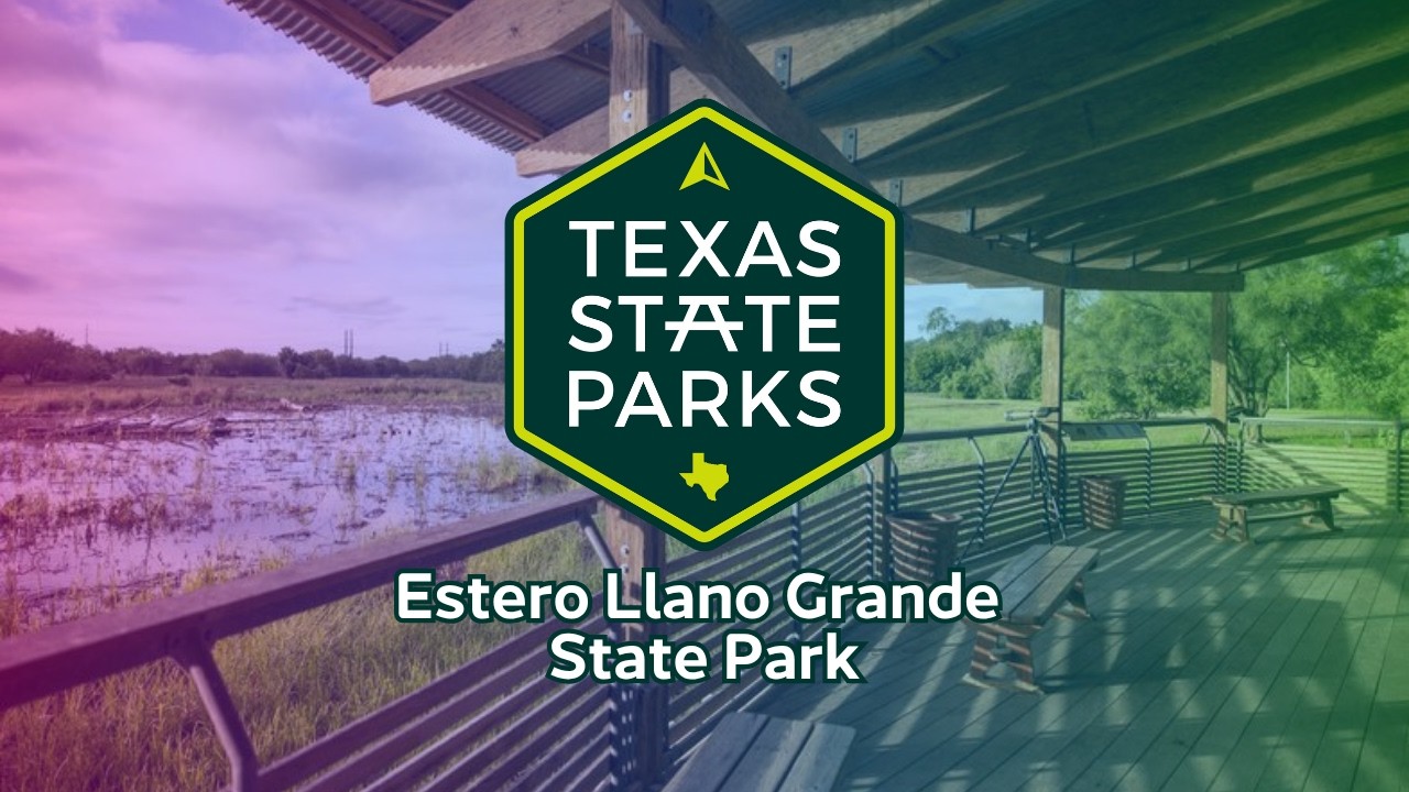 Estero Llano Grande State Park