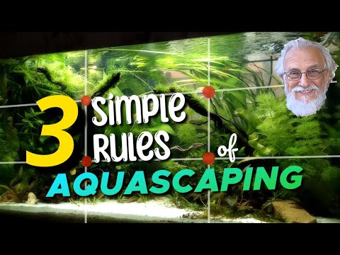 Aquascaping Made Easy. 3 Simple Rules for Beautiful Aquariums