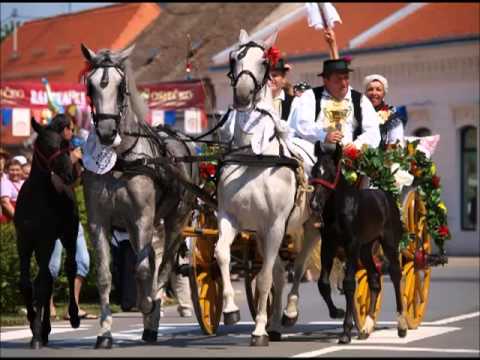 PATRIA - Eno šorom idu svatovi