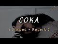 CoKa Sukh E Slowed And Reverb Lofi Songs Sukh E Songs Punjabi Songs Haye Ni Tera Coka
