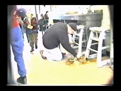 Réal Béland - Combien de fois peut-on échapper son repas au McDo?