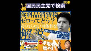国民民主党 おだけかい 食料品消費税ゼロってどうなの？ 4月11日