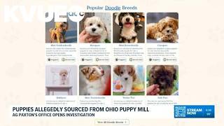 Texas AG's Office investigating business that sells puppies