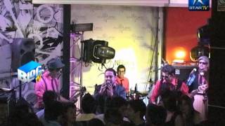 GALLINA Mc FLY Primer videoclip