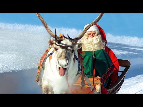 Los Renos de Papá Noel 🦌🎅 Santa Claus en Laponia Finlandia: video para famílias Rovaniemi Navidad