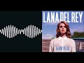 Arctic Monkeys Lana Del Rey I Wanna Be Yours Summertime Sadness