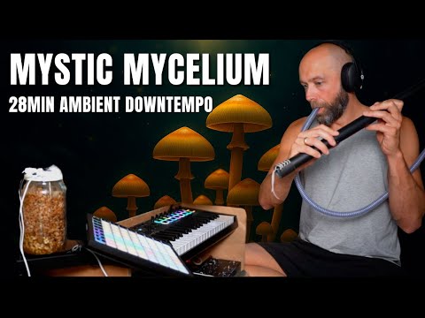 Mystic Mycelium – Live Ambient Shamanic Groove with Kalimba & Flutes