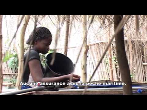 ACCAPAREMENT DES TERRES ET SECURITE ALIMENTAIRE - Land grabbing and Food Security