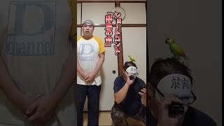 調べ上げろ‼️爆笑ショートコント「野鳥の会」 #おすすめ #お笑い #ナイツ