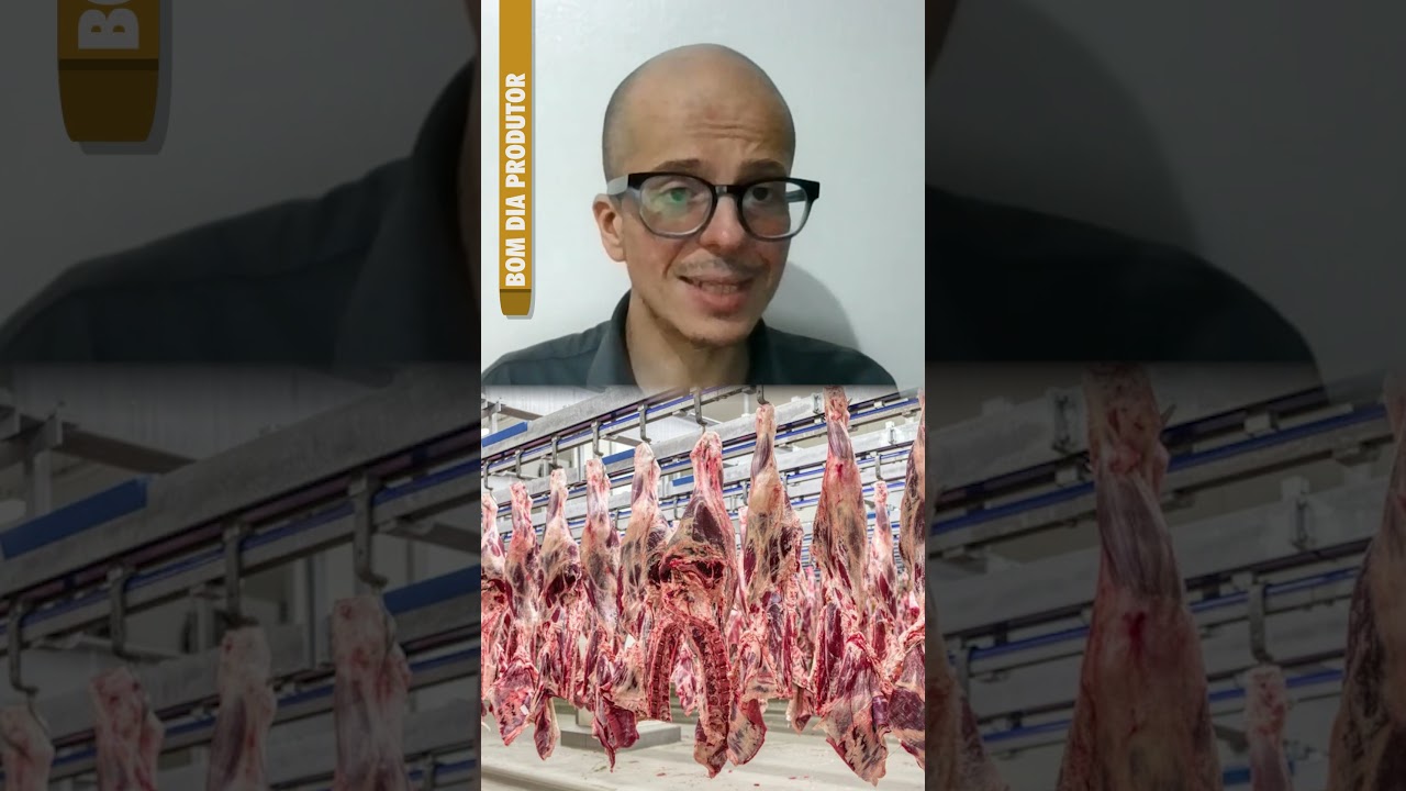Oferta de gado pronto reduzida e preenchimento de cota chinesa movimentam mercado brasileiro