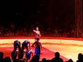 Cirque