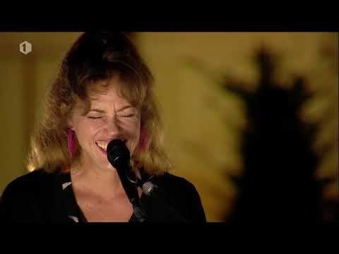 Vive Le Velo - WICKED GAME (cover)