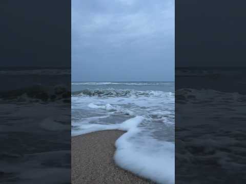 😍😍😍 #ashortaday #shortsfeed #beachvibes #memories #makingmemories #shorts #makingmemoriestogether