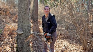 5 Years Living Off The Grid | Falling Her First Tree ( It Was Hilarious)