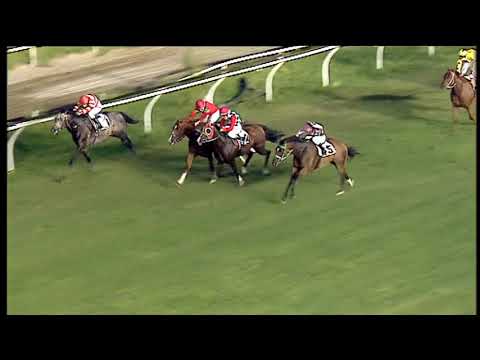 Galoppo 29/07/2020 - 5ª corsa