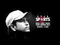 SachinSachin Watch Sachin Tendulkar One Last Time