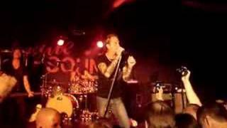 GREAT WHITE/FACE THE DAY