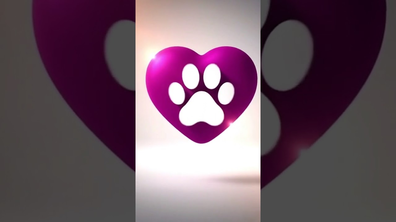 Cachorro raça SRD-ViraLata idade 7 a 11 meses nome Luna e Nina