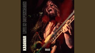 Come Back Life (Live in Copenhagen)