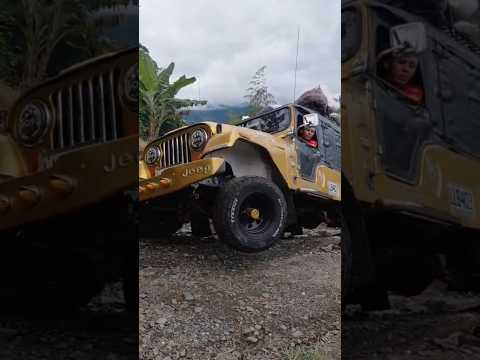 se muestra como lucha este conductor con su jeep j6 en Manzanares Caldas,  #campo #jeep