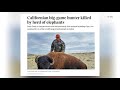 From Lodi to Gabon: longtime hunter Ernie Dosio dies during African safari trip by herd of elephants