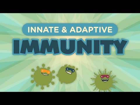 Innate & Adaptive Immunity