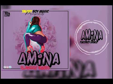 Amina _by Placidboy Gringo (official audio) #Talentboy_music