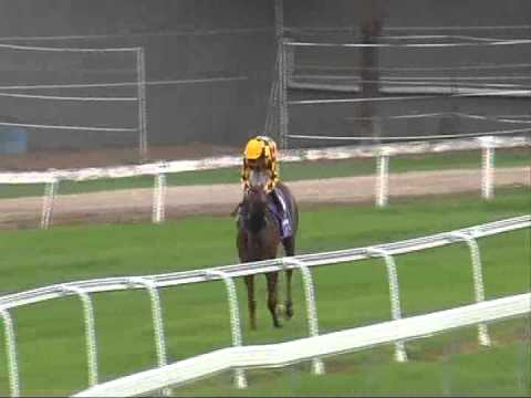 STAR PUPIL  Wins The Hofman Electrical M'dn H'cap 1400 Metres Tamworth 01 04 14