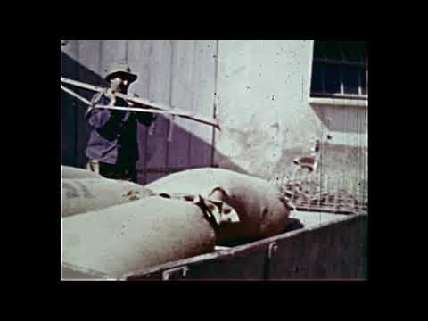 Das Dorf Oppertshofen 4 Jahreszeiten