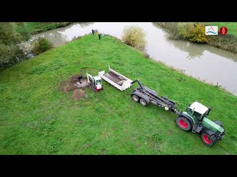 Die Versetzung des Adlersteins