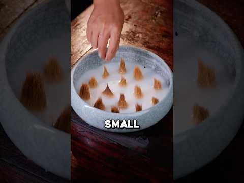 The Surprising Use of Dog Fur 🤯