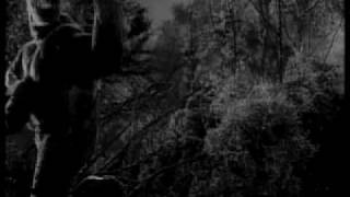 king kong promo amaral  confiar en alguien