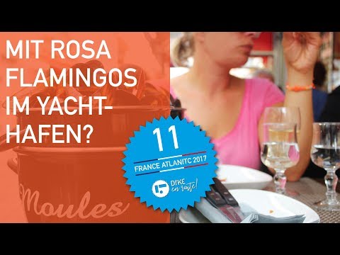 DI'KE EN ROUTE – Flamingos und die leckersten Moules Frites der Reise!