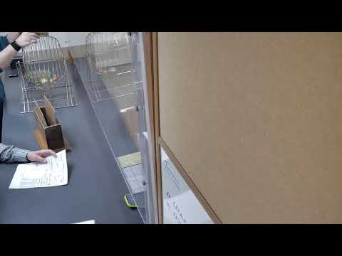 Parx Draw 03-05-26 for 03-11-26