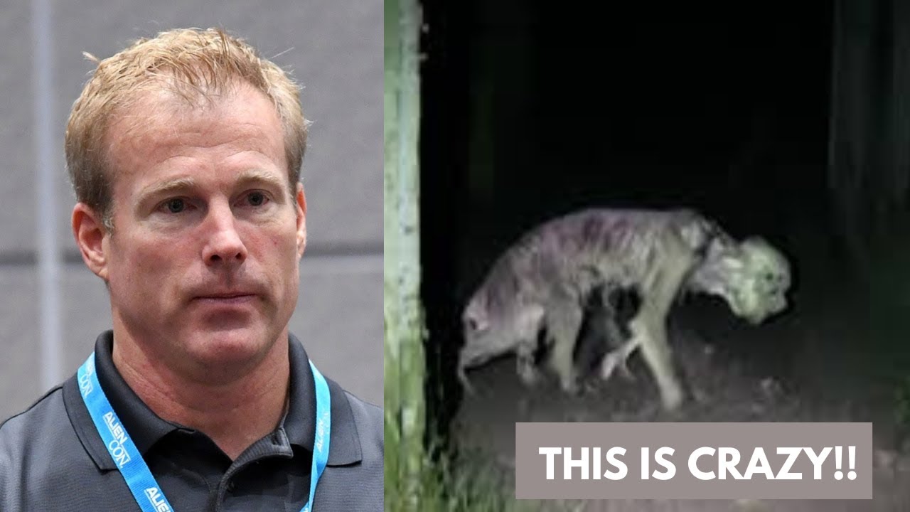 YouTube Thumbnail Downloader FULL HQ IMAGE