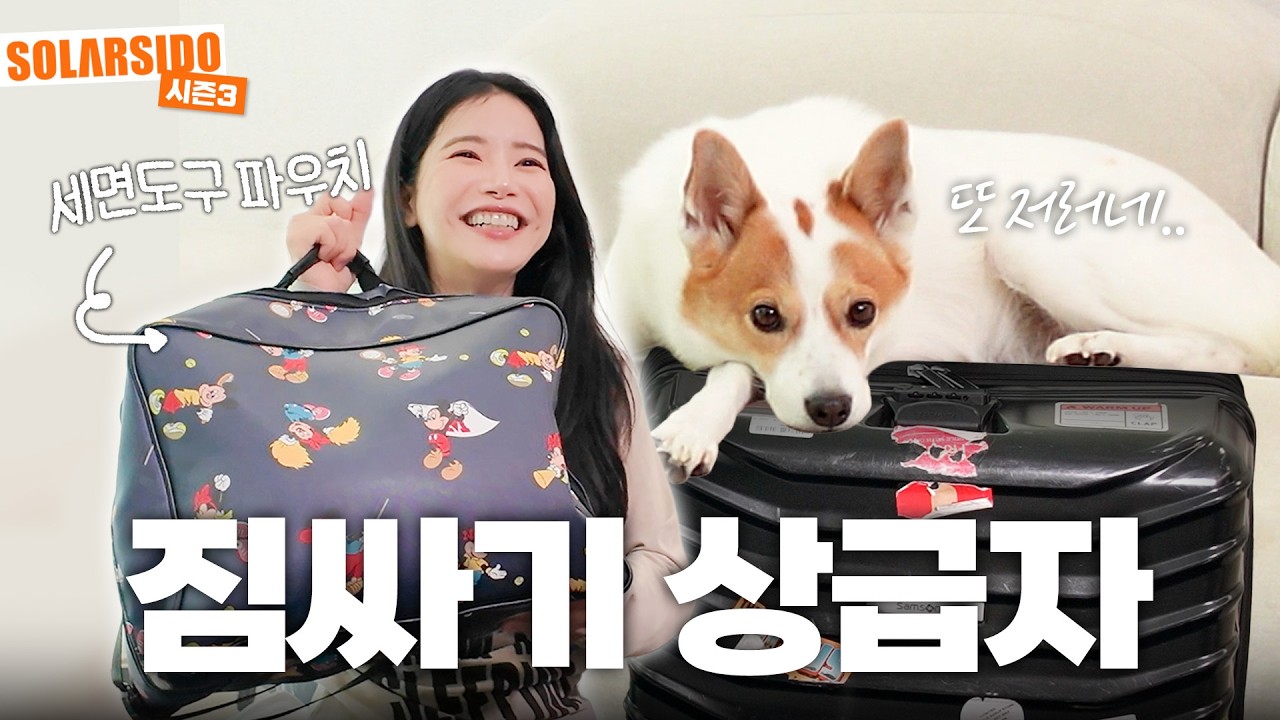 캐리어 짐싸기 상급자