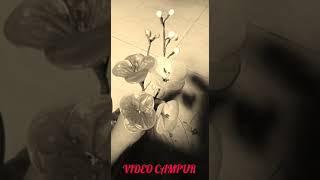 Download lagu Story wa astor kid 'salam rindu' mp3