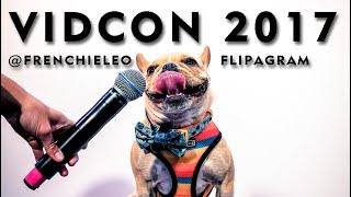 Vidcon 2017  Dog Host @frenchieleo