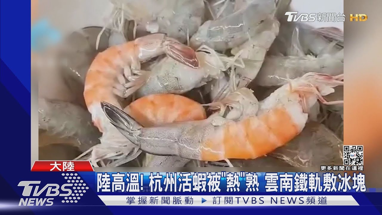陸高溫真的熱死人！杭州活蝦被「熱」熟　雲南鐵軌需冰敷