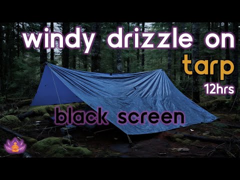 [Black Screen] Heavy Windy Drizzle on Tarp No Thunder | Rain Ambience | Rain Sounds for Sleeping