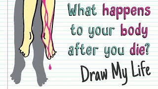 WHAT HAPPENS TO YOUR BODY AFTER YOU DIE? | Draw My Life