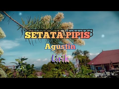 SETATA PIPIS - Agustin || Lirik
