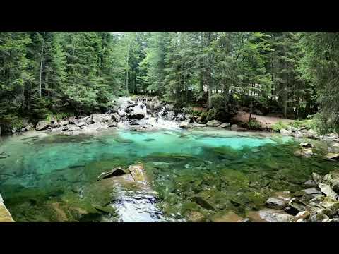 DZIOŁO Poza 4 Strony Świata