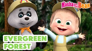 Download lagu Masha and the Bear 2024 🌱 Evergreen Forest 🌳🌲 Best episodes cartoon collection 🎬 mp3