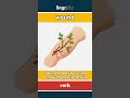 wound - to hurt the body by cutting... video thumbnail