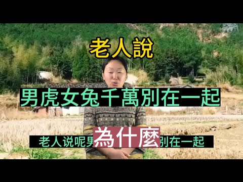 兔男虎女