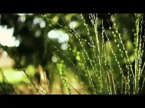 Thomas Feiner - Troth